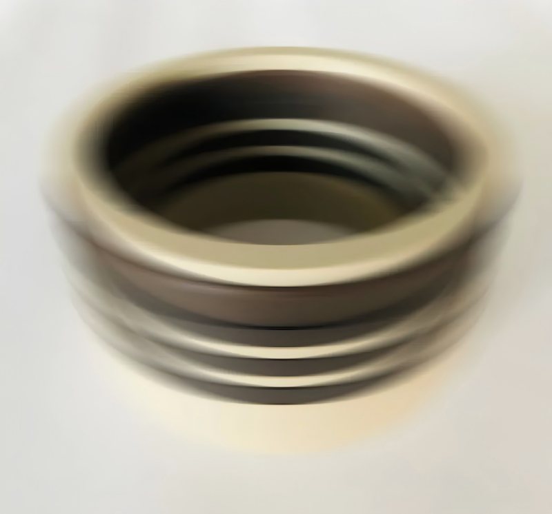 Ruichen Seal's 600MPa vattenmedium REFORTROCATING SEAL Ultra-High Pressure Seal passerade användartestet