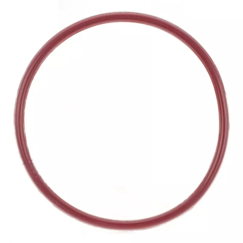 FEP/PFA inkapslad O-ring